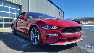 Ford Mustang GT Premium SPECIAL CALIFORNIE 2022 à Matane, Québec - 5 - w320h240px