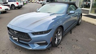 Ford Mustang EcoBoost Premium 2025 à Matane, Québec - 6 - w320h240px