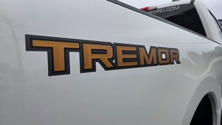 2023 Ford Super Duty F-250 SRW PLATINUM Ensemble TREMOR HORS ROUTE in Matane, Quebec - 5 - w320h240px