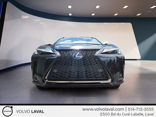 Lexus UXH UX 250h AWD Moteur à 4 cylindres 2.0l 4 roues motrices 2022