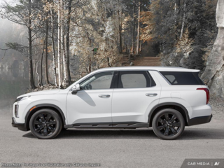 2024 Hyundai Palisade Urban in Edmonton, Alberta - 3 - w320h240px