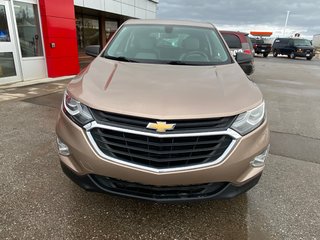 2019 Chevrolet Equinox in Deer Lake, Newfoundland and Labrador - 3 - w320h240px