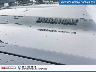 2021 Chevrolet Silverado in Deer Lake, Newfoundland and Labrador - 3 - w320h240px