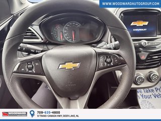 2020 Chevrolet Spark in Deer Lake, Newfoundland and Labrador - 9 - w320h240px