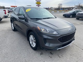 2020 Ford Escape in Deer Lake, Newfoundland and Labrador - 2 - w320h240px