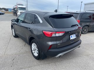 2020 Ford Escape in Deer Lake, Newfoundland and Labrador - 8 - w320h240px