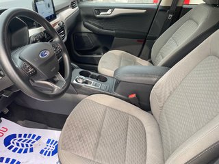 2020 Ford Escape in Deer Lake, Newfoundland and Labrador - 9 - w320h240px