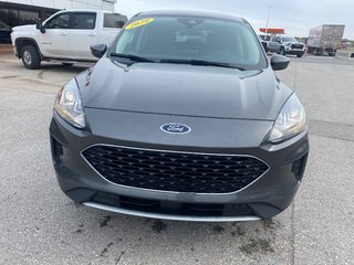 2020 Ford Escape in Deer Lake, Newfoundland and Labrador - 3 - w320h240px
