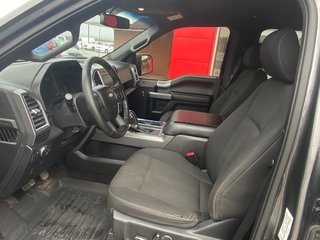 2016 Ford F150 in Deer Lake, Newfoundland and Labrador - 13 - w320h240px