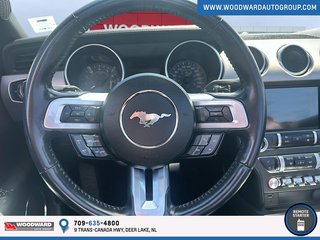 2023 Ford Mustang in Deer Lake, Newfoundland and Labrador - 8 - w320h240px