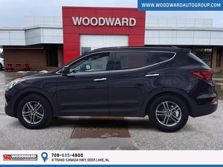 2017 Hyundai Santa Fe in Deer Lake, Newfoundland and Labrador - 5 - w320h240px