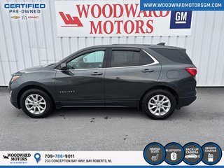 2019 Chevrolet Equinox LT in Bay Roberts, Newfoundland and Labrador - 5 - w320h240px