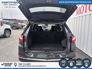 2019 Chevrolet Equinox LT in Bay Roberts, Newfoundland and Labrador - 6 - w320h240px