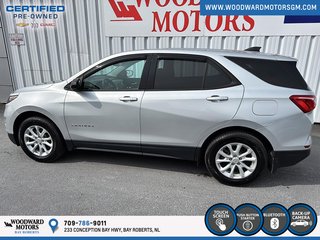 2019 Chevrolet Equinox LS in Bay Roberts, Newfoundland and Labrador - 5 - w320h240px