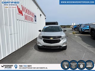 2019 Chevrolet Equinox LS in Bay Roberts, Newfoundland and Labrador - 2 - w320h240px