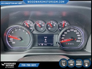 2024 Chevrolet Silverado 1500 in Deer Lake, Newfoundland and Labrador - 10 - w320h240px