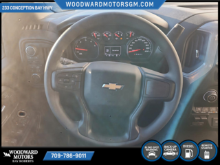 2024 Chevrolet SILVERADO 2500 HD in Deer Lake, Newfoundland and Labrador - 13 - w320h240px