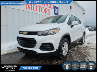 2017  Trax LS in Bay Roberts, Newfoundland and Labrador - 3 - w320h240px