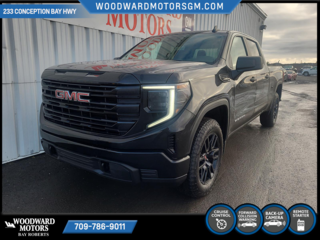2024  Sierra 1500 PRO in Bay Roberts, Newfoundland and Labrador - 3 - w320h240px