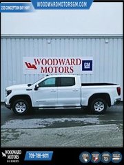 2024 GMC Sierra 1500 in Deer Lake, Newfoundland and Labrador - 12 - w320h240px