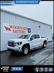 2024 GMC Sierra 1500 in Deer Lake, Newfoundland and Labrador - 13 - w320h240px