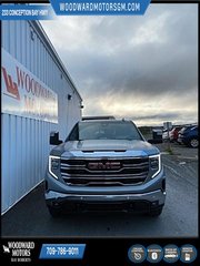 2024 GMC Sierra 1500 in Deer Lake, Newfoundland and Labrador - 14 - w320h240px