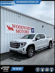 2024 GMC Sierra 1500 in Deer Lake, Newfoundland and Labrador - 2 - w320h240px