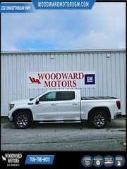 2024 GMC Sierra 1500 in Deer Lake, Newfoundland and Labrador - 3 - w320h240px