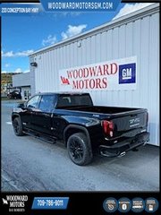 2025 GMC Sierra 1500 in Deer Lake, Newfoundland and Labrador - 4 - w320h240px