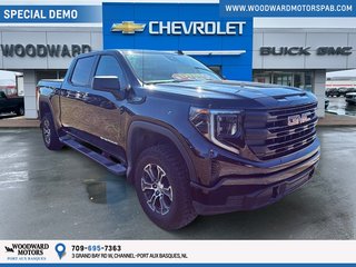 2026 GMC Sierra 1500 PRO Crew Cab 4WD Pro in Port Aux Basques, Newfoundland and Labrador - 4 - w320h240px