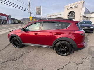 RAV4 XLE 2018 à Carleton, Québec - 5 - w320h240cpx