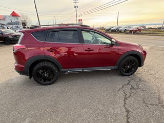 RAV4 XLE 2018 à Carleton, Québec - 4 - w320h240cpx