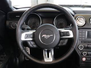 Ford Mustang V6 CONVERTIBLE | AUTOMATIQUE| 2017 à St-Jean-Sur-Richelieu, Québec - 6 - w320h240cpx