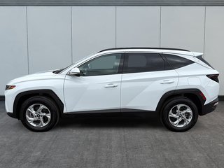 2024 Hyundai Tucson TREND AWD TOIT PANORAMIQUE in St-Jean-Sur-Richelieu, Quebec - 5 - w320h240cpx
