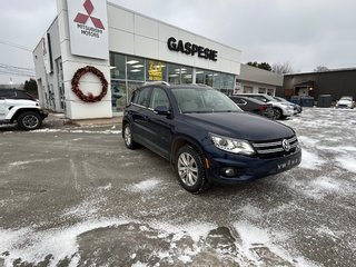 2014 Volkswagen Tiguan HIGHLINE in Paspébiac, Quebec - 2 - w320h240cpx