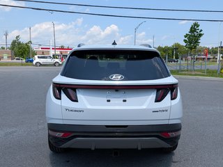 2023 Hyundai Tucson Hybrid Luxury in Saint-Hyacinthe, Quebec - 6 - w320h240cpx