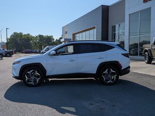 2023 Hyundai Tucson Hybrid Luxury in Saint-Hyacinthe, Quebec - 3 - w320h240cpx