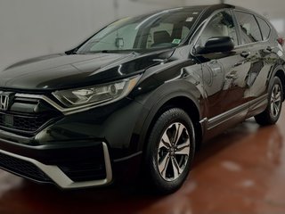 CR-V LX AWD 2021 à Montague, Île-du-Prince-Édouard - 5 - w320h240cpx