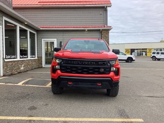 2024 Chevrolet SILVERADO 1500 CUSTOM TRAIL BOSS in Saint John, New Brunswick - 4 - w320h240cpx