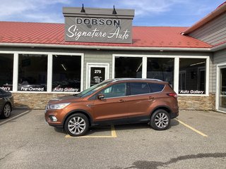2017 Ford Escape TITANIUM in Saint John, New Brunswick - 4 - w320h240cpx