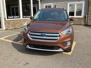 2017 Ford Escape TITANIUM in Saint John, New Brunswick - 2 - w320h240cpx