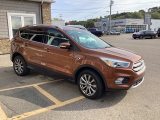 2017 Ford Escape TITANIUM in Saint John, New Brunswick - 5 - w320h240cpx