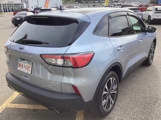 Ford ESCAPE SE 2022 à Saint John, Nouveau-Brunswick - 3 - w320h240cpx