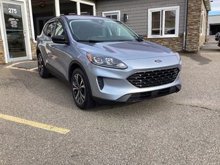 Ford ESCAPE SE 2022 à Saint John, Nouveau-Brunswick - 5 - w320h240cpx