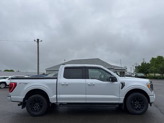 2021 Ford F-150 XLT in Sussex, New Brunswick - 5 - w320h240cpx
