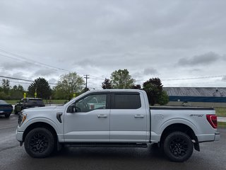 2021 Ford F-150 XLT in Sussex, New Brunswick - 2 - w320h240cpx
