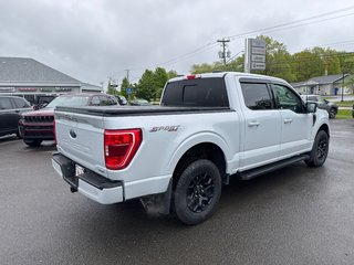 2021 Ford F-150 XLT in Sussex, New Brunswick - 4 - w320h240cpx
