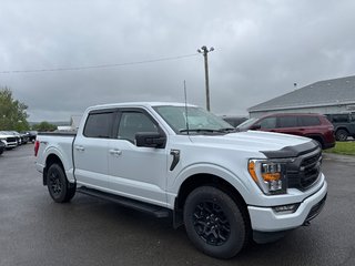 2021 Ford F-150 XLT in Sussex, New Brunswick - 6 - w320h240cpx