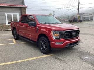 2022 Ford F-150 XLT in Saint John, New Brunswick - 2 - w320h240cpx