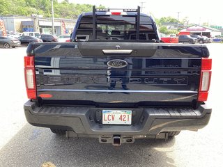 2022 Ford SUPER DUTY F-250 SRW XLT in Saint John, New Brunswick - 5 - w320h240cpx
